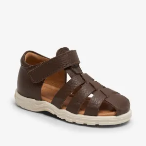 bisgaard bagge c brown