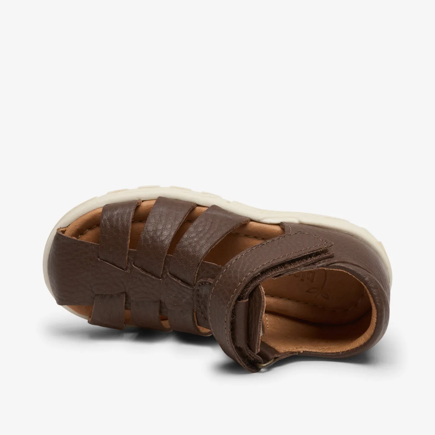 bisgaard bagge c brown