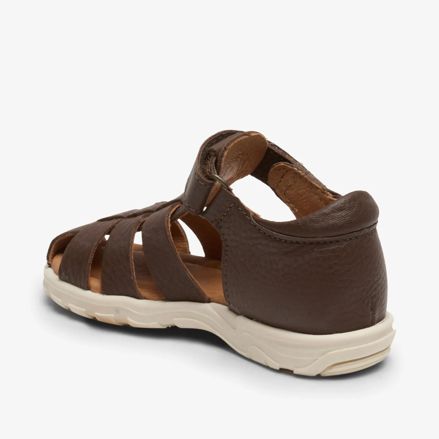 bisgaard bagge c brown