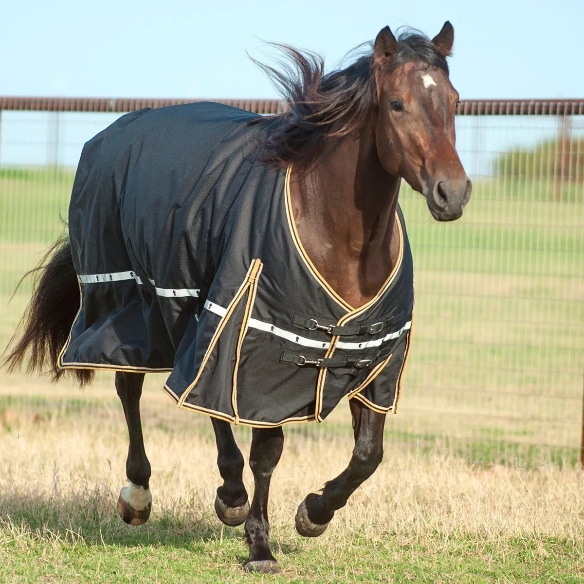 Classic Equine Horse 5k Cross Trainer Winter Blanket