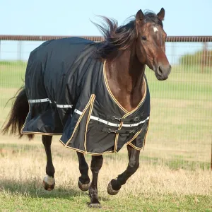 Classic Equine Horse 5k Cross Trainer Winter Blanket