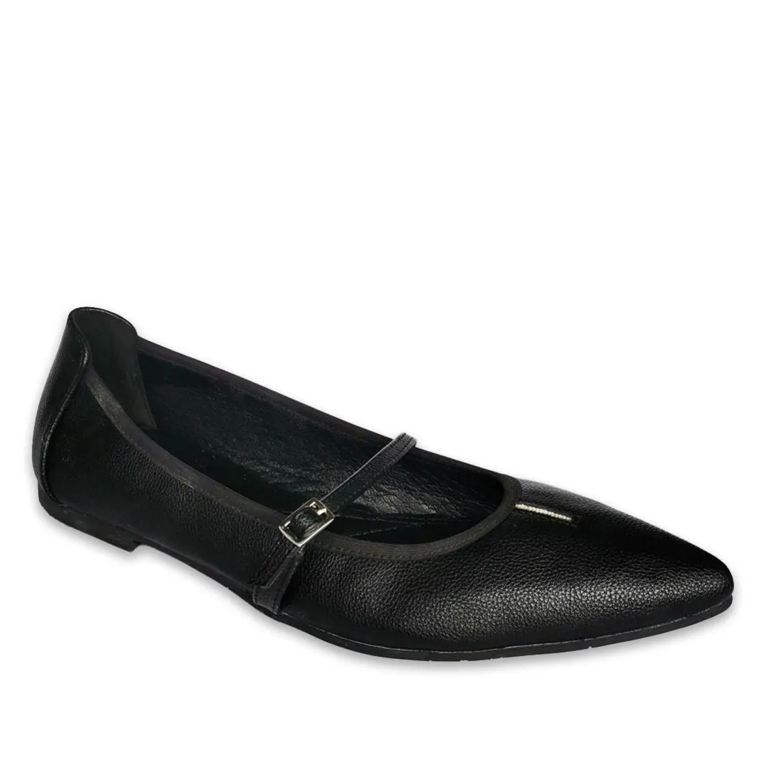 Daisy Hitam