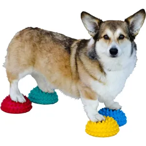 FitPAWS 4 Flexible Paw Pods