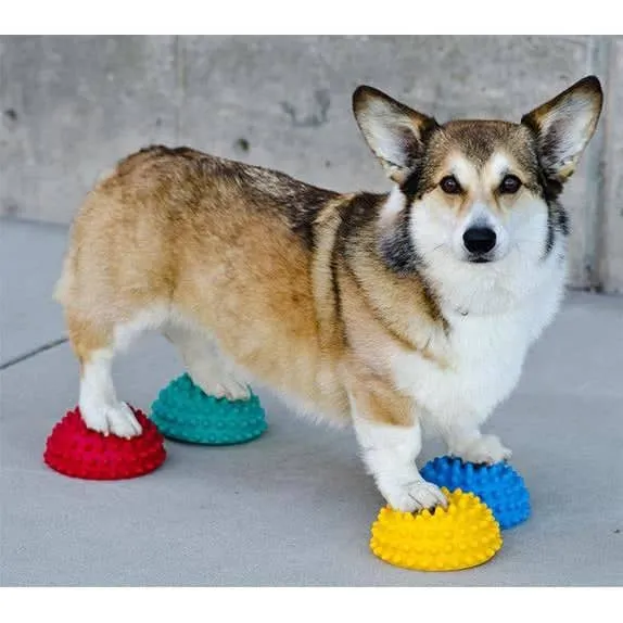 FitPAWS 4 Flexible Paw Pods