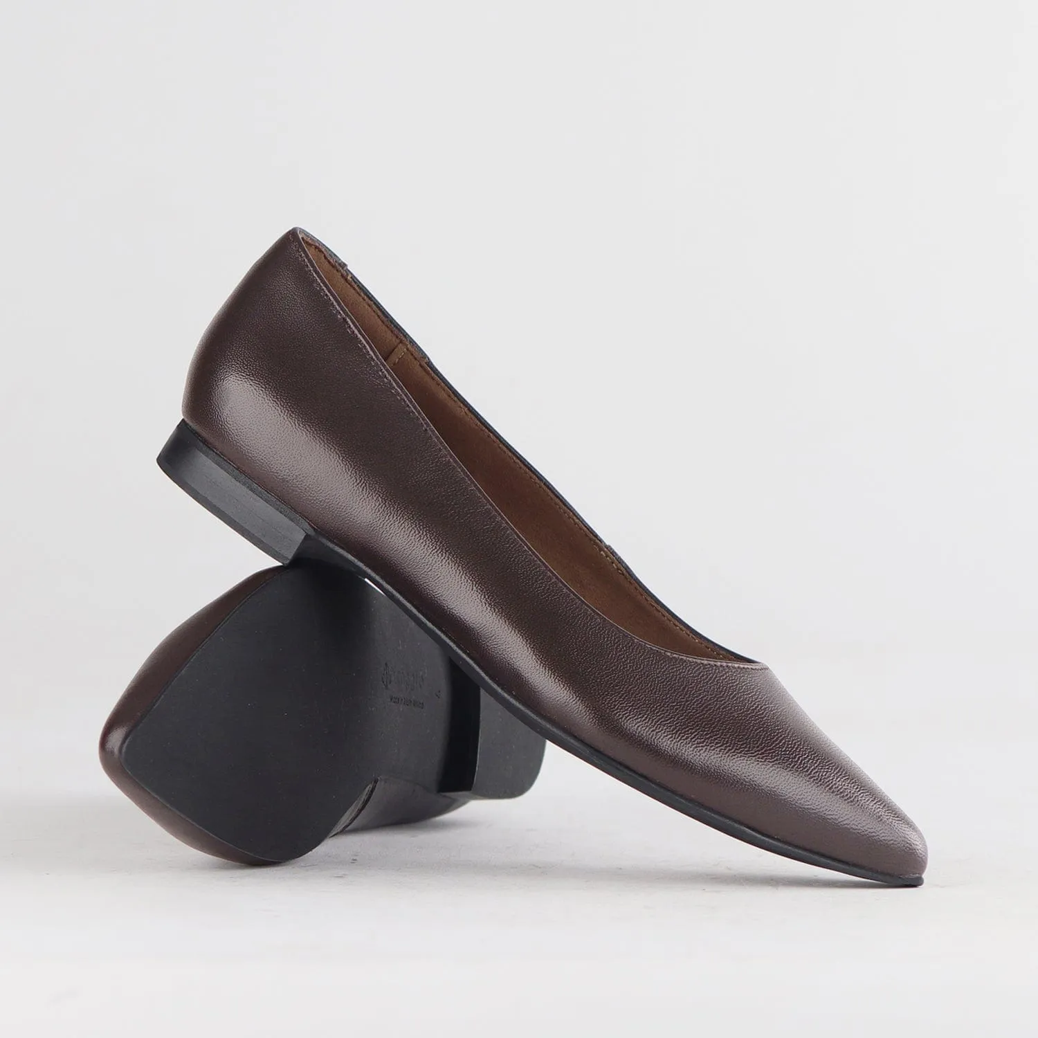 Flat Pointed Court Shoe in Nude Ebony - 12713