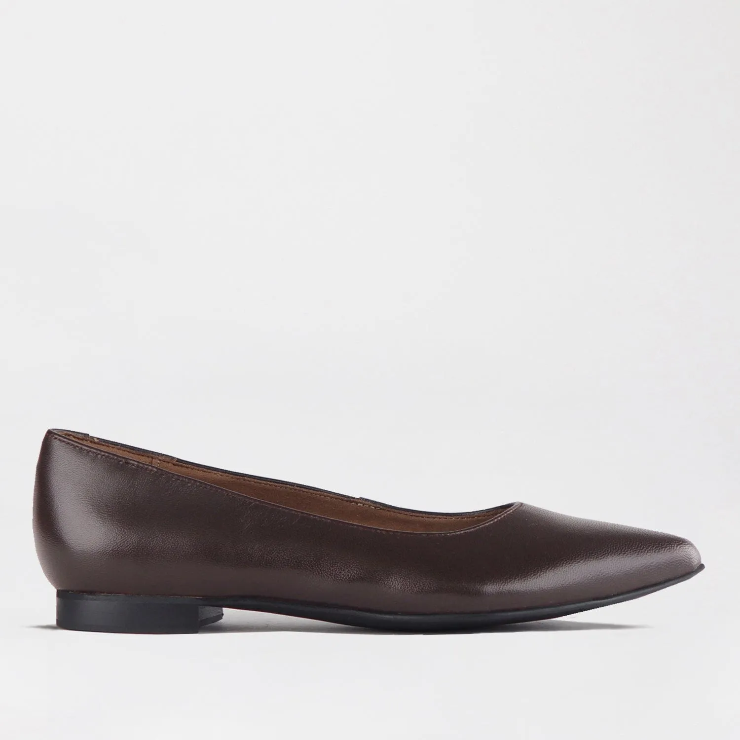 Flat Pointed Court Shoe in Nude Ebony - 12713