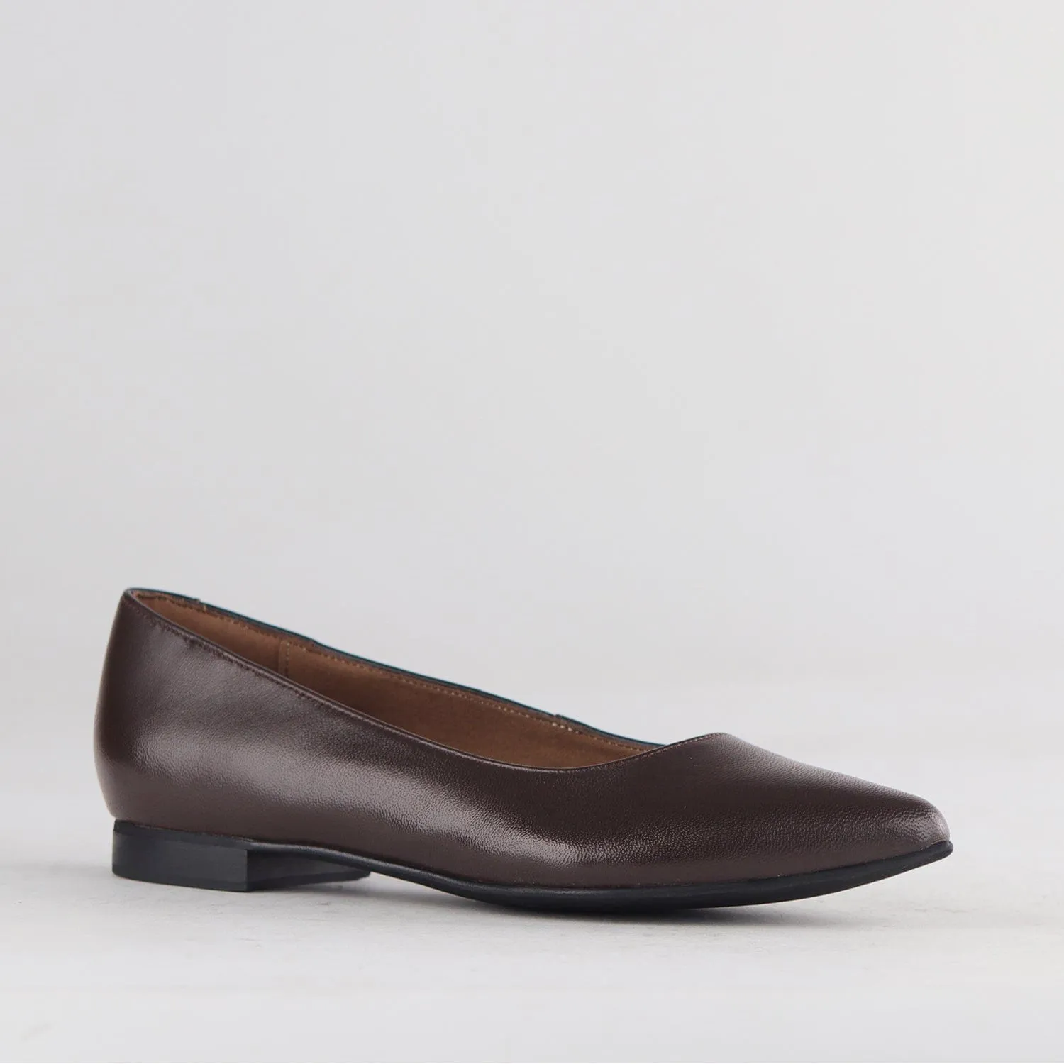 Flat Pointed Court Shoe in Nude Ebony - 12713