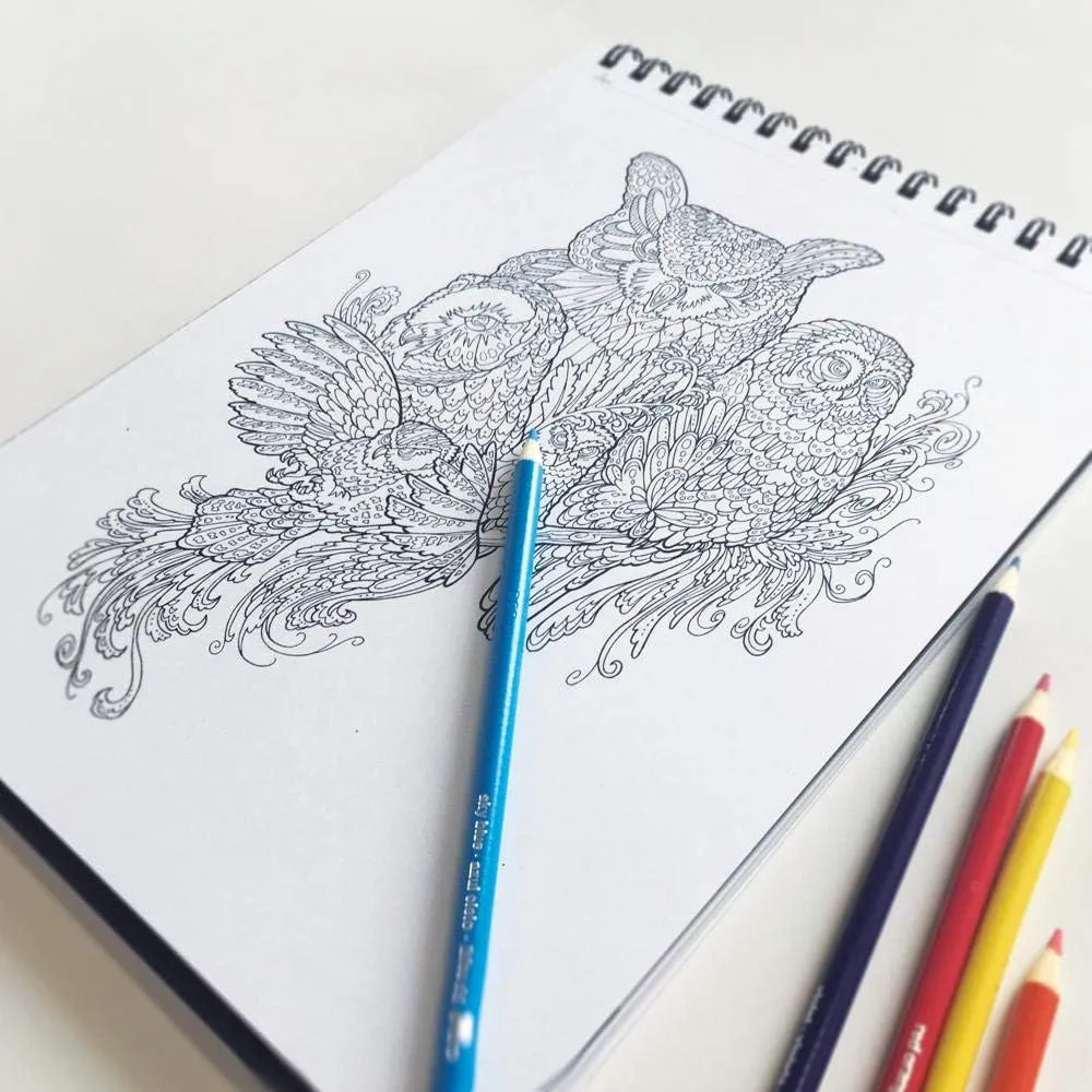 Forest Trails Coloring Book (8.62 x 11.75 inches)