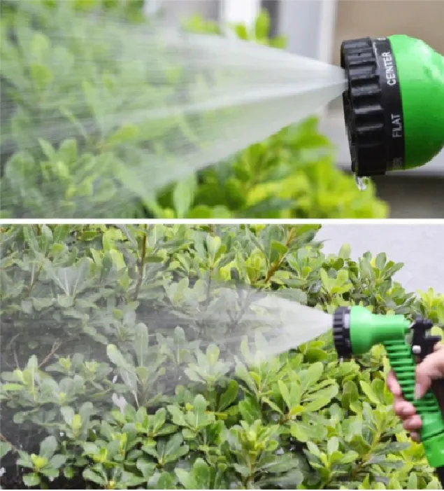 Green and Blue Flexible Gardening Hose