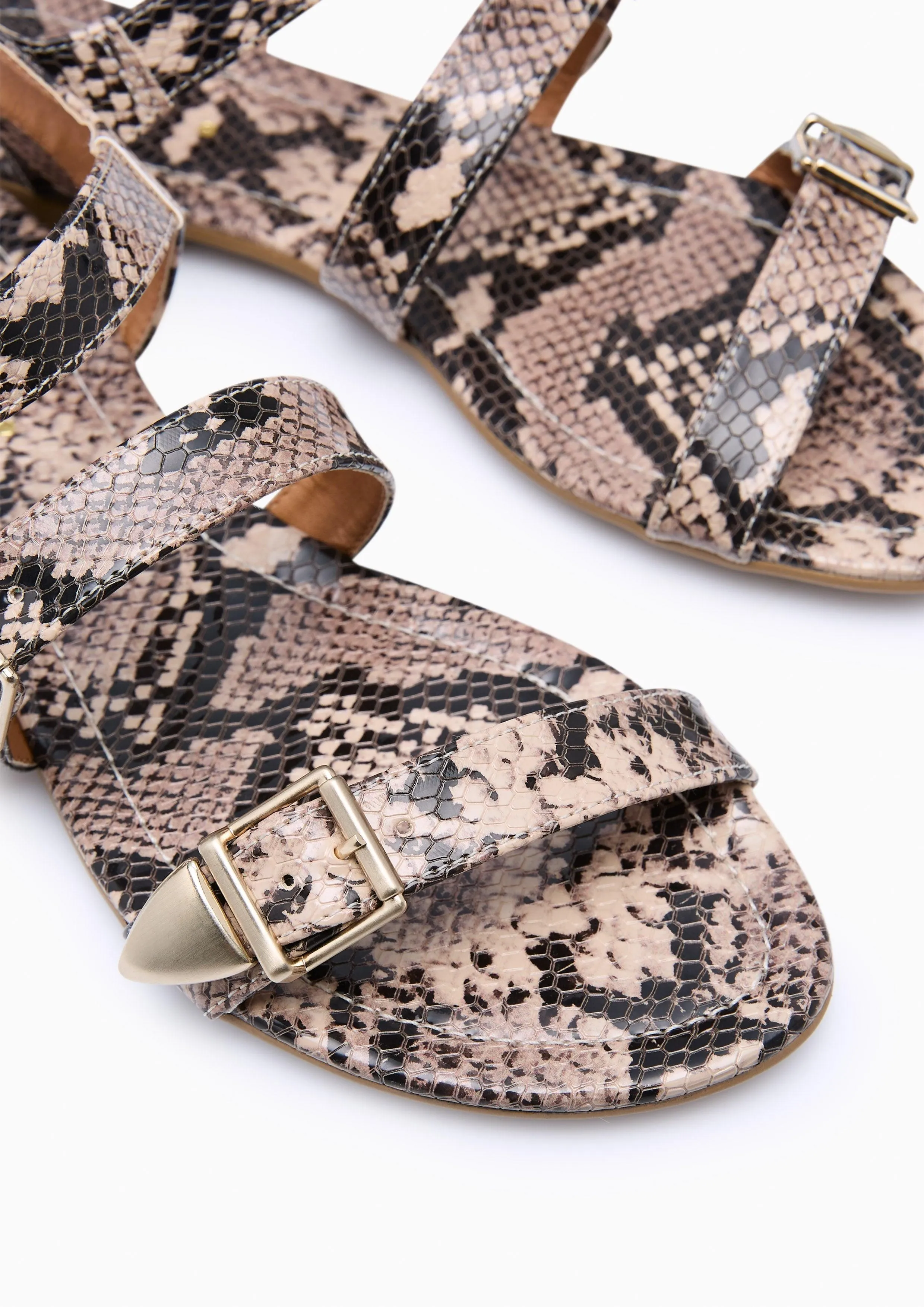 Morton Snake