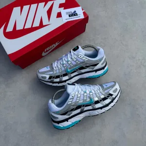NIKE P-6000 'DUSTY CACTUS'